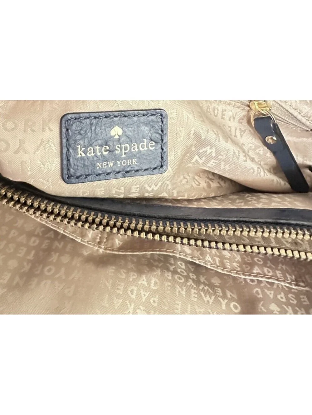 Kate Spade Diehl Blue Ostrich Embossed Leather Bow Tote Shoulder Bag